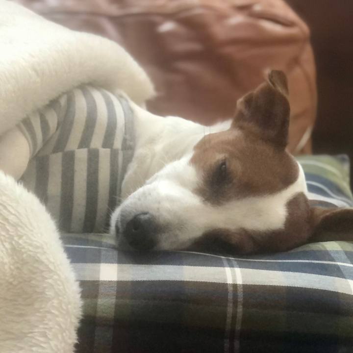 086517ed 0f80 4cc8 ac81 6c01d34466dc 1681530043712