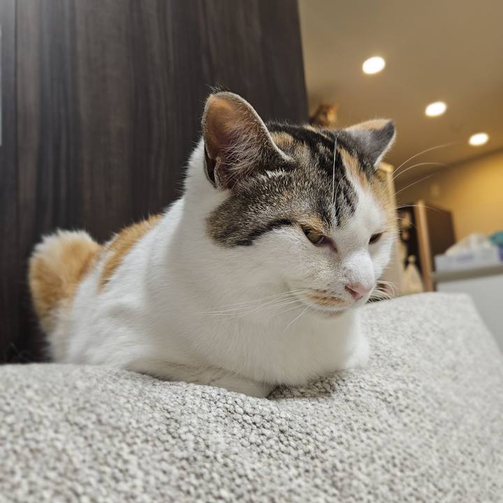 0865253f ee3c 49bf 8ad1 fb6daa0395cb 1773624979230