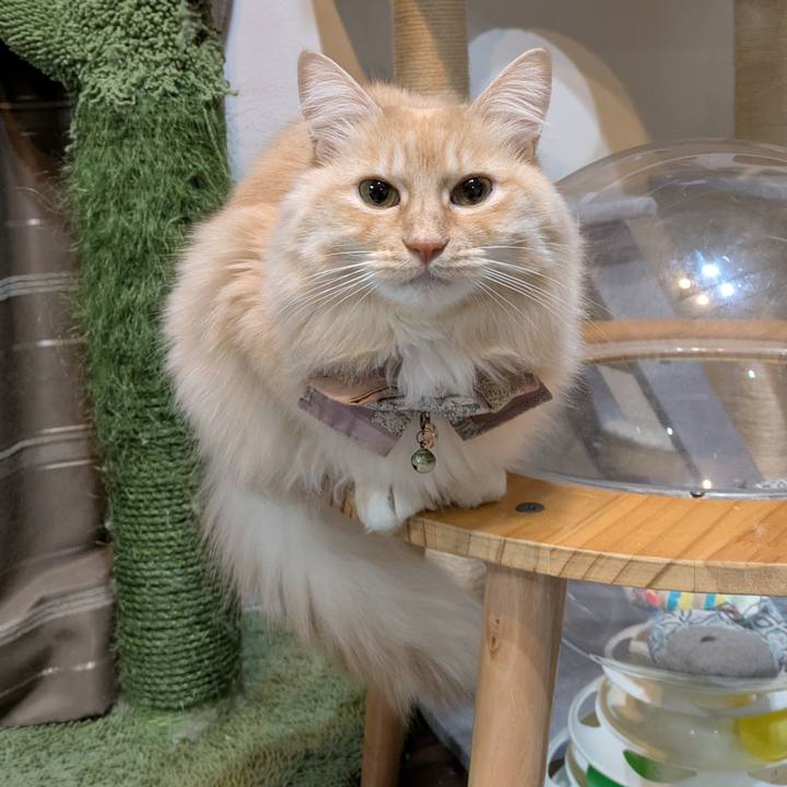 08654a3c b88c 4a22 8d8e a81de68bfdda 1736459735315