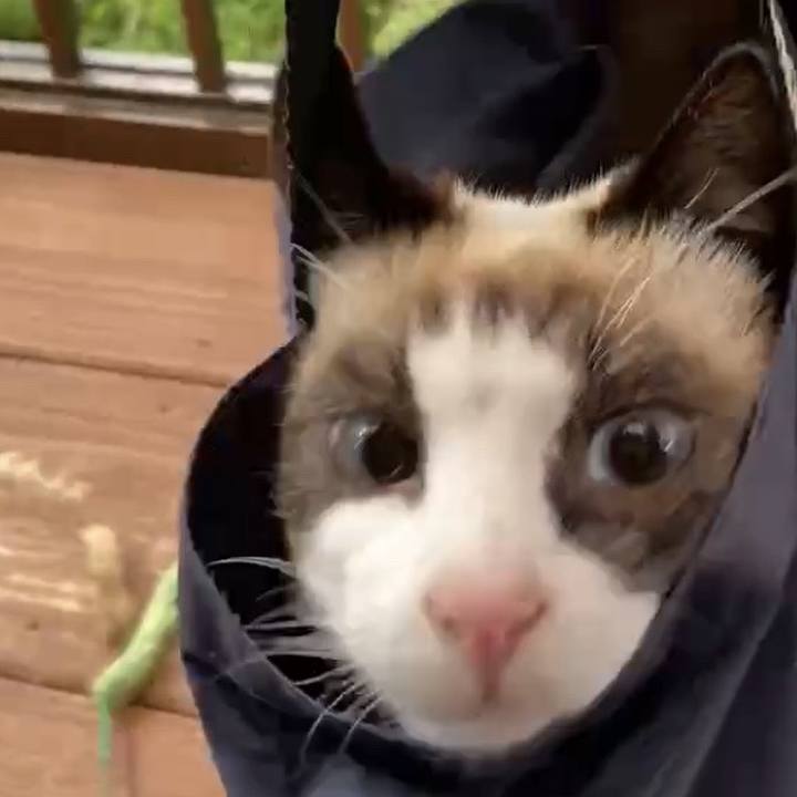 08656551 da3f 4a2d ae5a 44af38898ff3 1731177533150