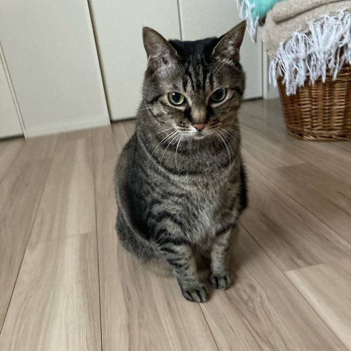 0865a8f9 955f 4594 ba27 f32839405170 1746503793975