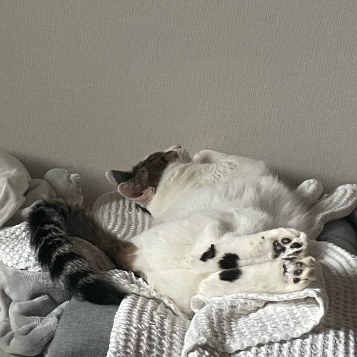 0865b9ac 966f 40c3 b3c2 69f59444500a 1760572797581