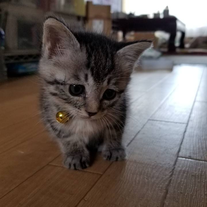 0865ca4b bc1f 426b 97c5 8d49e65ca3e8 1661156823947