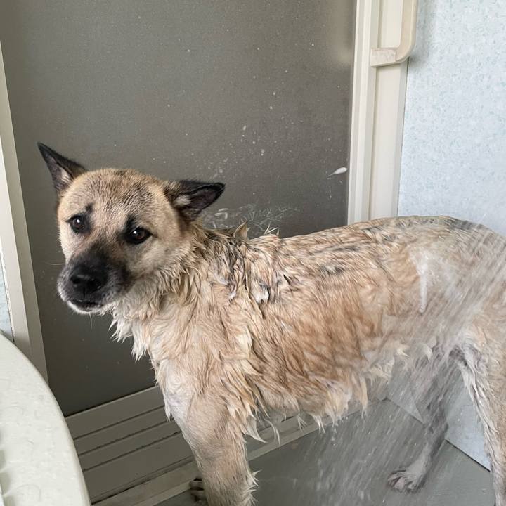 0865d8c4 3c10 4207 9989 6f55d59f2617 1659789529018