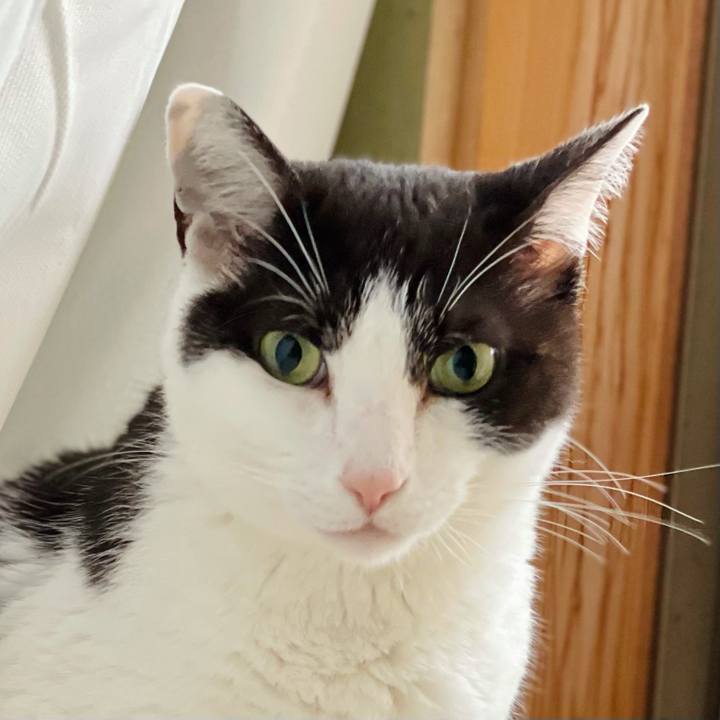 0865e418 16c6 4159 9365 7c7951c70520 1623115780397