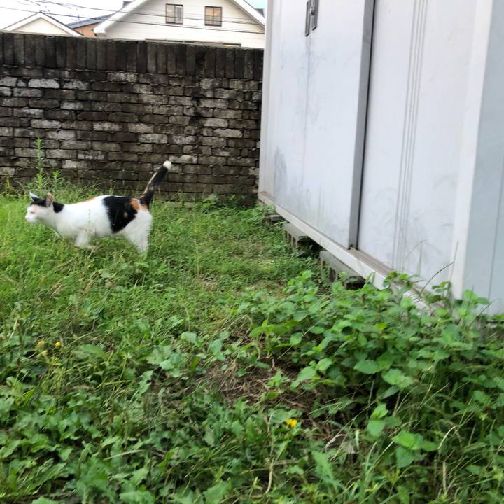 086622cf a070 4d9f ba5c 88aeb3ffe8b4 1600424761255