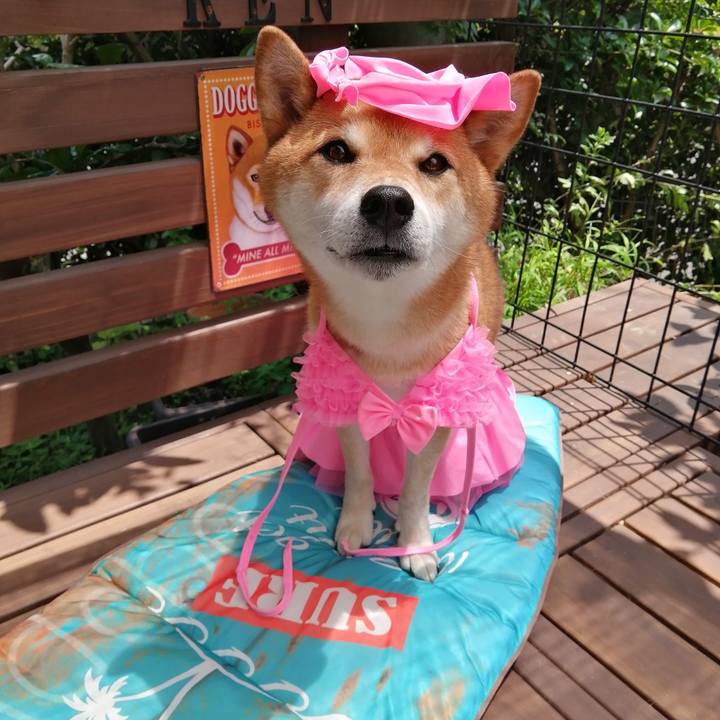 08667e1f 5361 4857 9ae8 2cc0466f099a 1627442344198