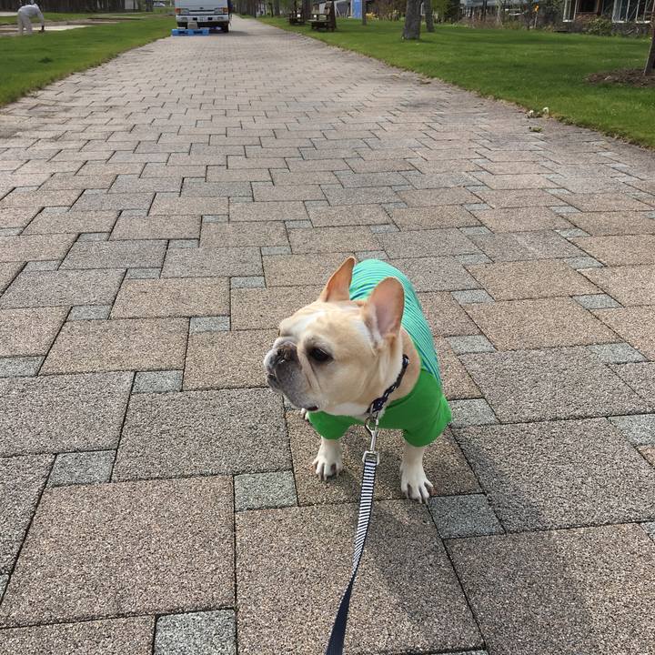 086692cf 523b 4861 a95b 90cc2c4c5c56 1527058549582