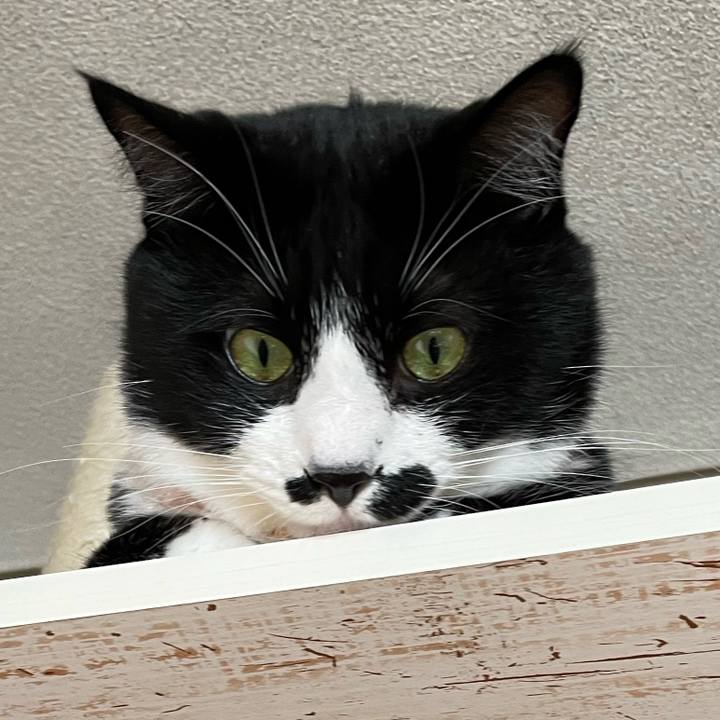 0866b87a 1ee0 4f25 873d 0f072c405a6e 1668040787303