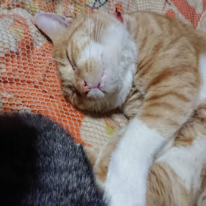 08675014 83db 4e80 bfe8 fdf08bf0f871 1572616892061