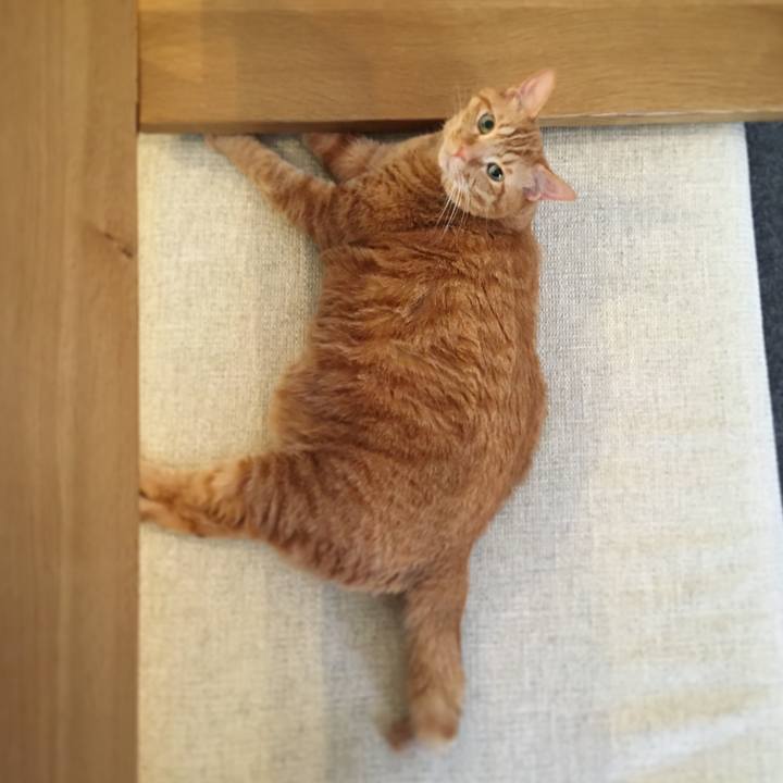 08675d81 26fd 4bf1 aca2 675d7bbf902d 1592440806601