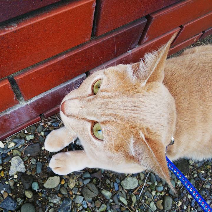 08677f32 bc9e 4b68 9081 4bf9ef968671 1599917558039