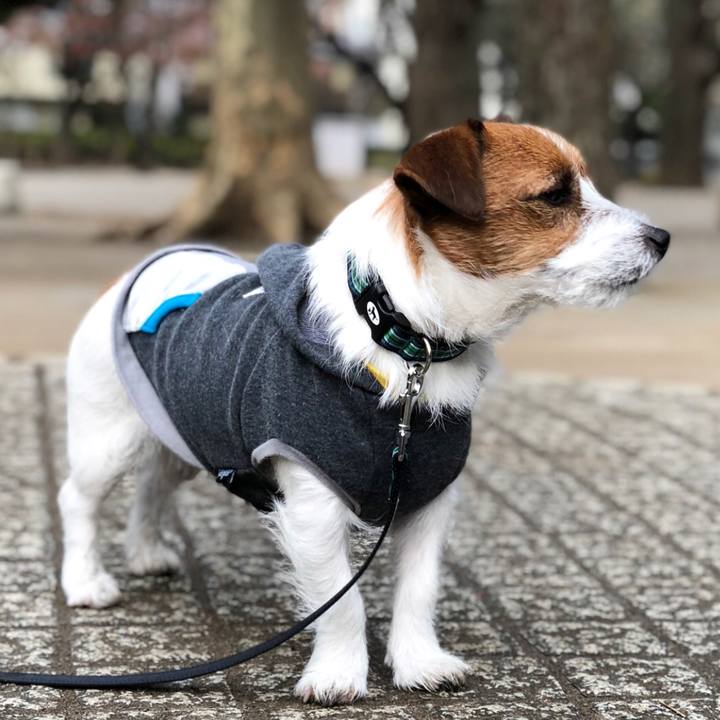 08681916 0021 4b3b afc2 dace41a3af68 1514720012768