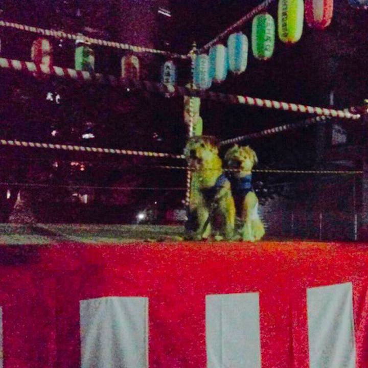 08681d87 2727 4d3b baee 3c52cc5d2c89 1532879975958