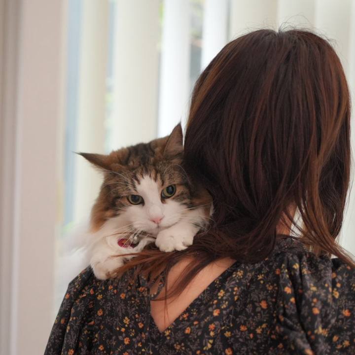 086823a7 cd43 4c65 ae6f f65106a3ea9a 1722419491866