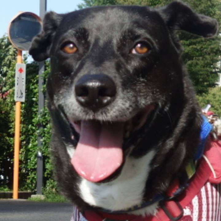 0868319e c2bb 42fc 9d25 54bc45da1397 1687308681214