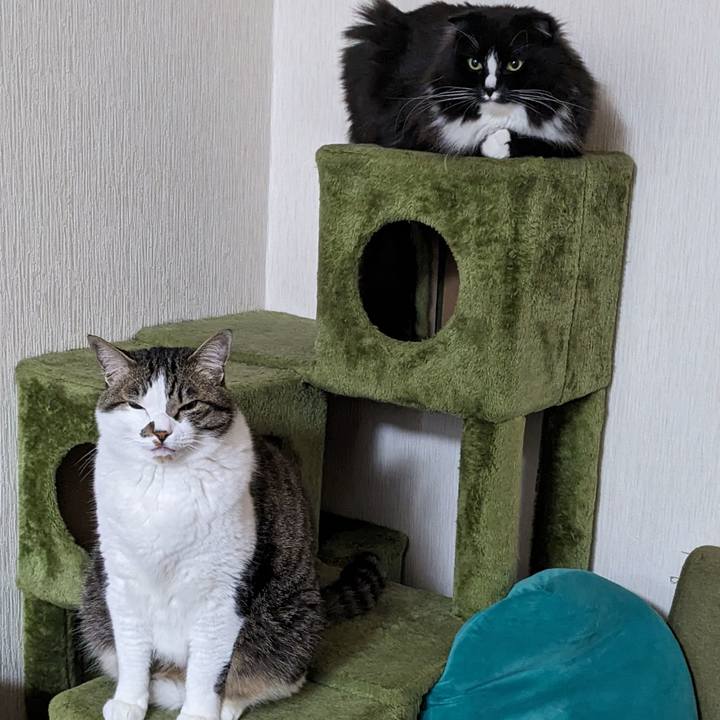 08684382 6499 415b a3af 81fe1c8d9321 1715631053286