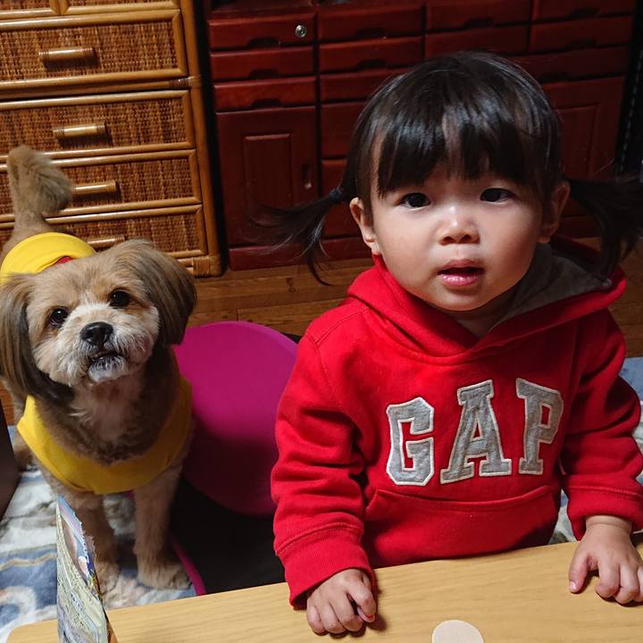 08684bce 929b 4347 b19d 6ad60172d2d3 1582464204846