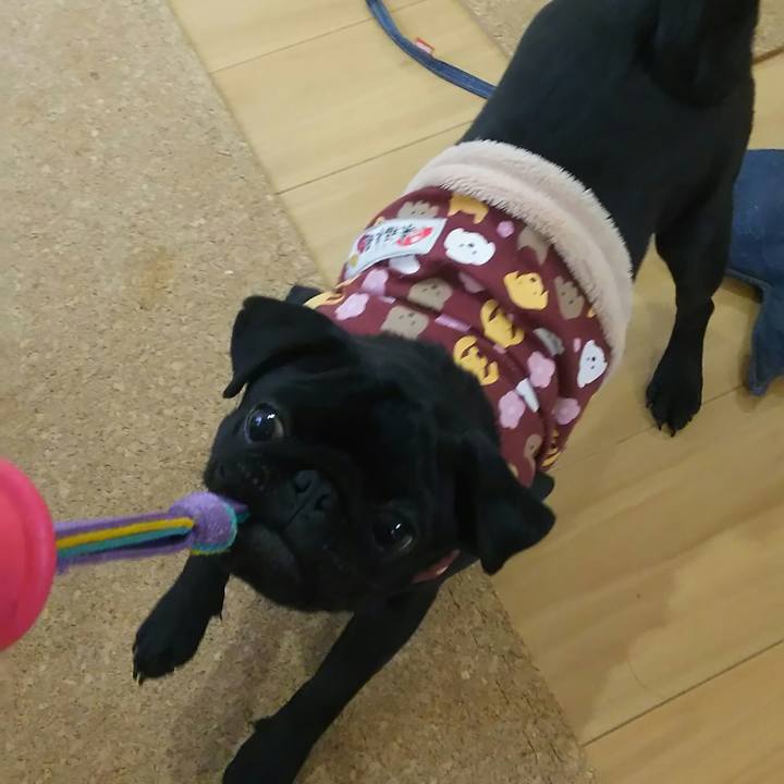 0868c9d4 a01d 4653 96a6 e0e5261d9c98 1517023365768