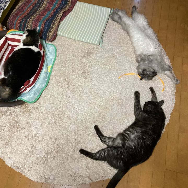 0868dbd7 967b 4bd6 aebf fe0a0ae8f174 1711922305307