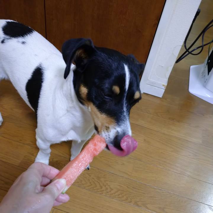 0868fef8 3b6c 4855 bc0f 118e8c3683f6 1565448735176