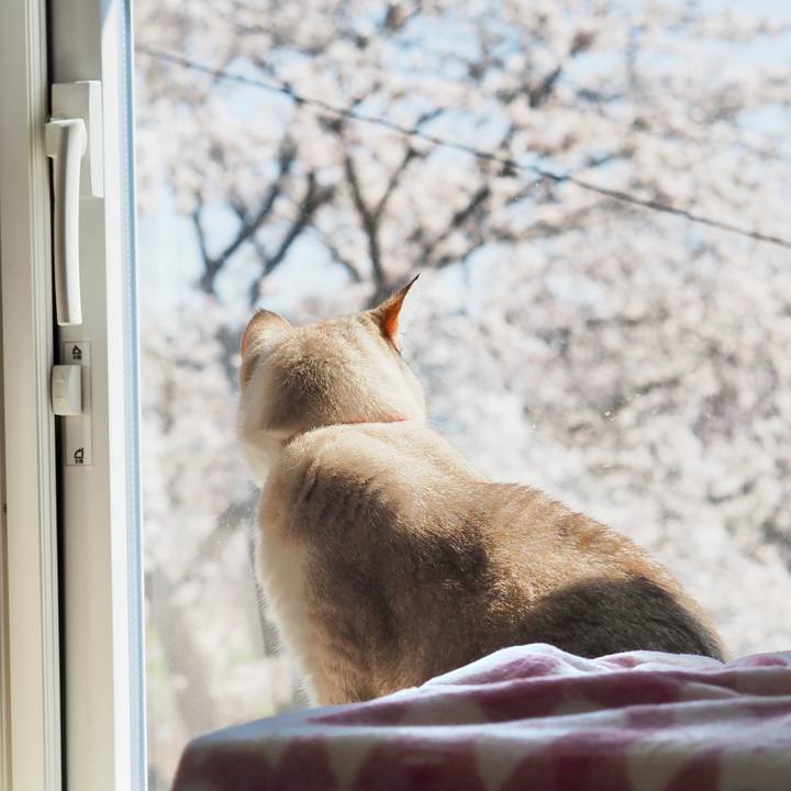 0868ff13 6302 4ef2 8138 a2a34eb6e8ab 1680528010455