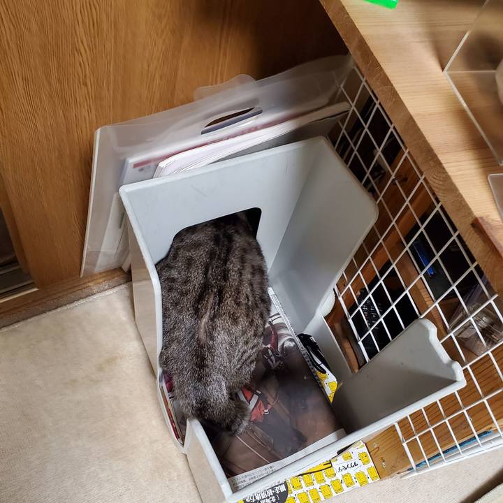 0869577f 7c94 4354 b35d 66ffc4353d2c 1699893189054