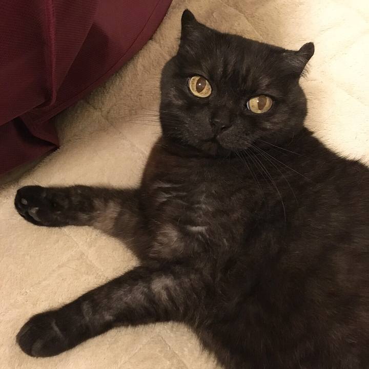 08695b4b dd9a 4619 8553 855dfc28cdef 1526491331003