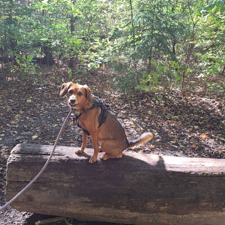 08696915 4f41 42e4 9c81 07002dfd8960 1760267486680