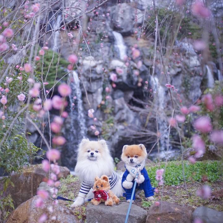 08699ce3 744c 4a60 8c29 601640c1de3d 1520946776803