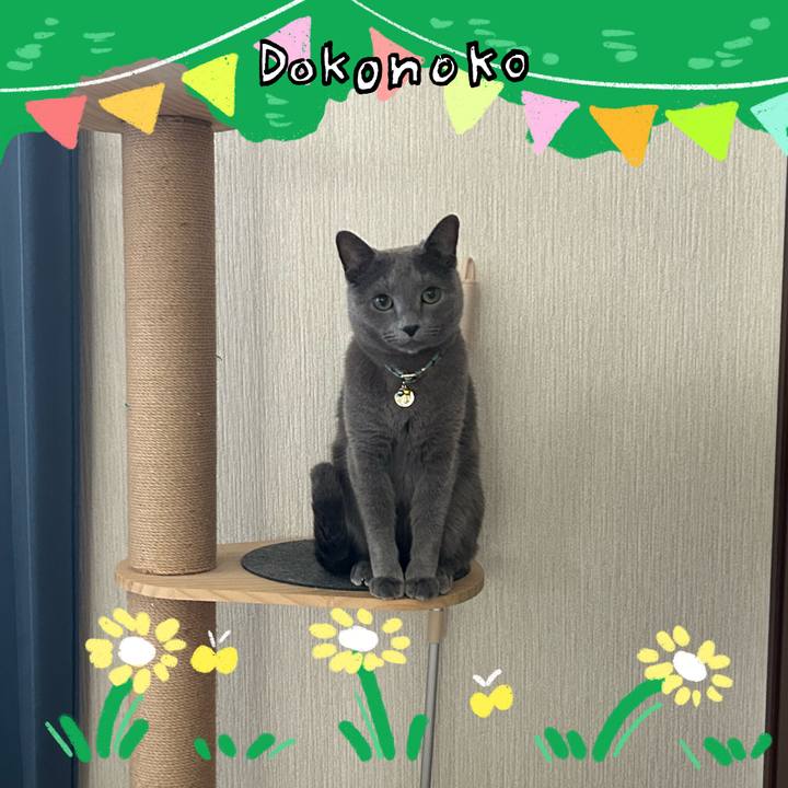 0869ce56 7696 4ff8 9291 c2d03d07fab0 1711022382733