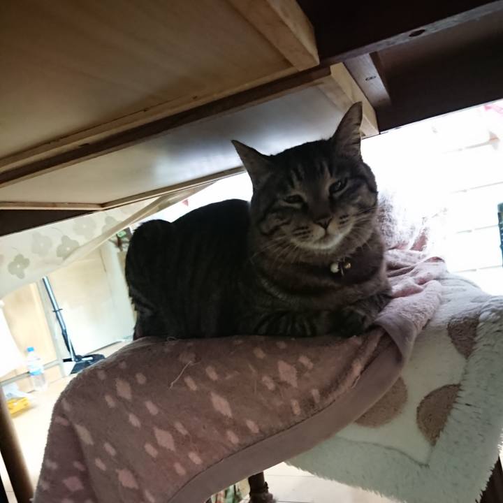 086a092c 74fb 44f8 9710 fd8269981cf9 1648587719802