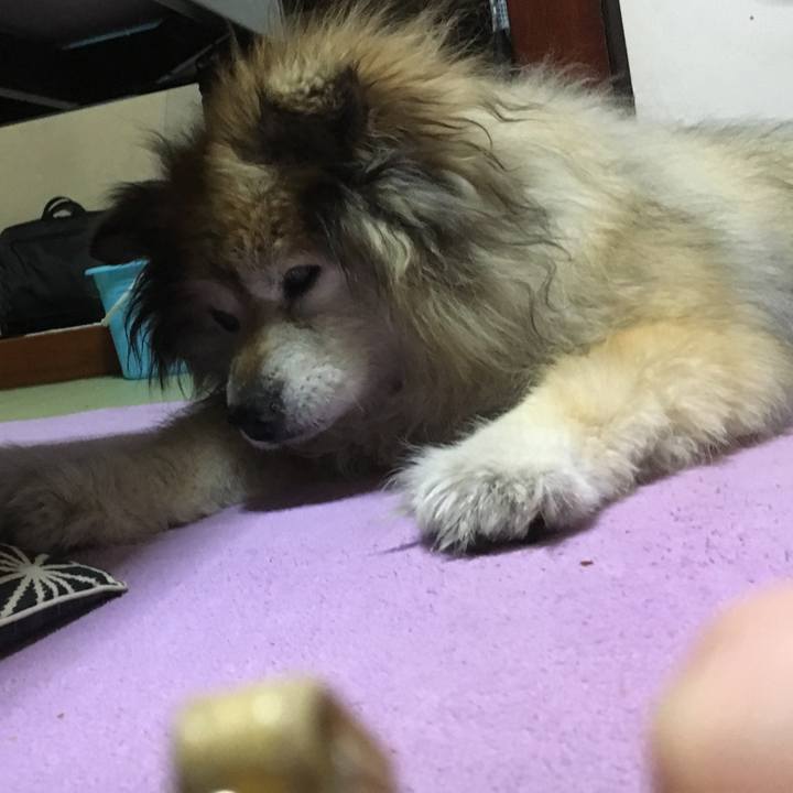 086a160f 309b 49a3 96cd 34b7a7bad772 1558295668381