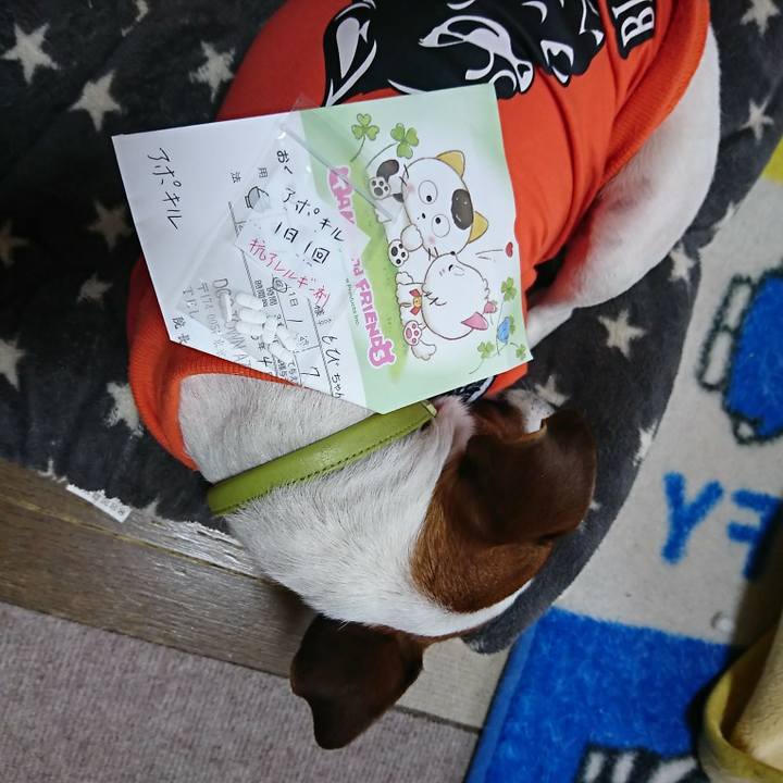 086a5233 0718 42a6 b8be a138f76bffdb 1585975147711