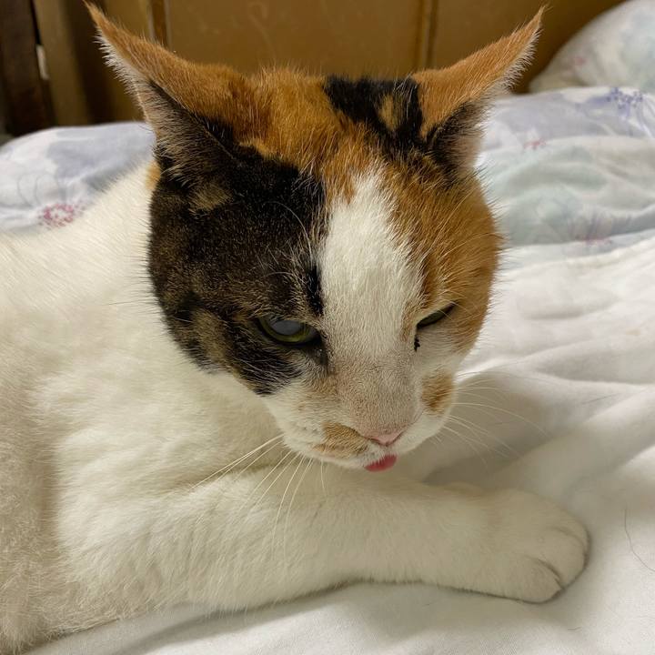 086a95c0 6392 49d5 acbb 7e4893a6f02b 1595427530078