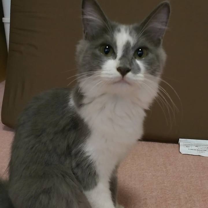 086aafb1 b39e 413a 8b15 2f5b0e6af380 1568760432007