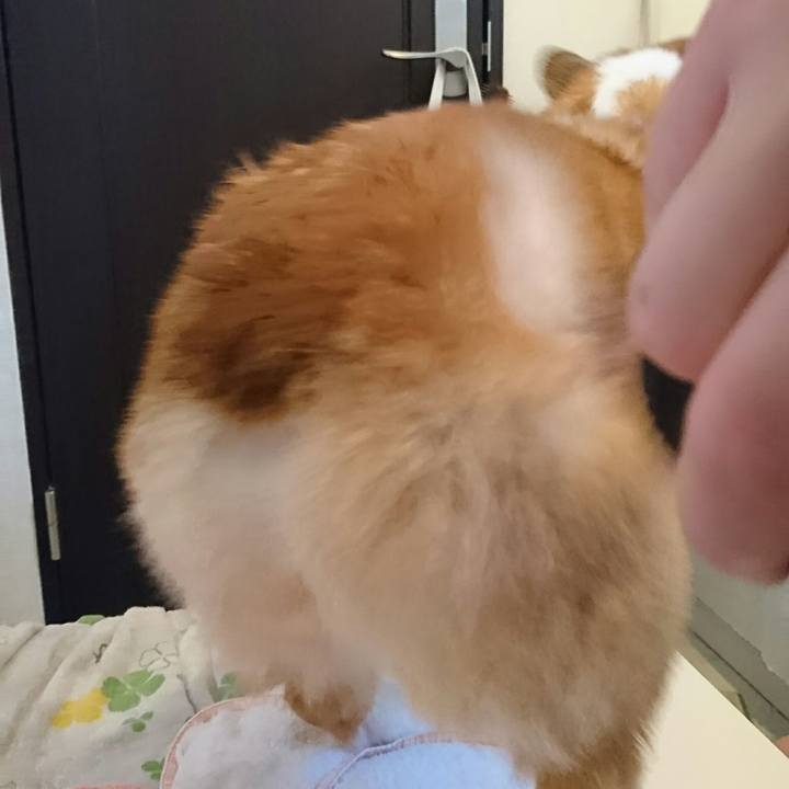 086ac81b 9e09 41a7 a975 027333728e5a 1549096756816