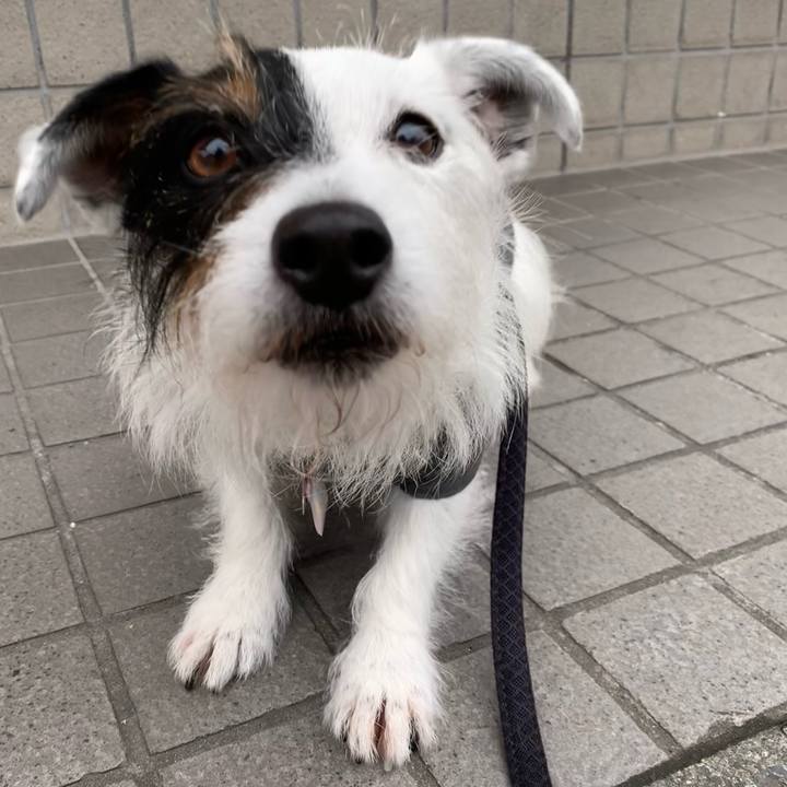 086ad317 4f92 422e a137 7a1a12d9e456 1655283822548