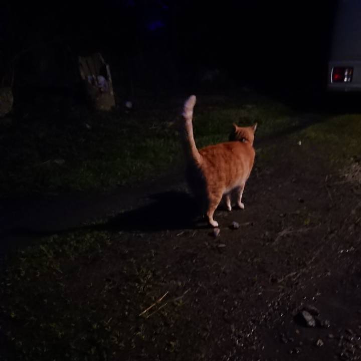 086ad31f ae77 46b8 9455 35f394bac622 1584437800326