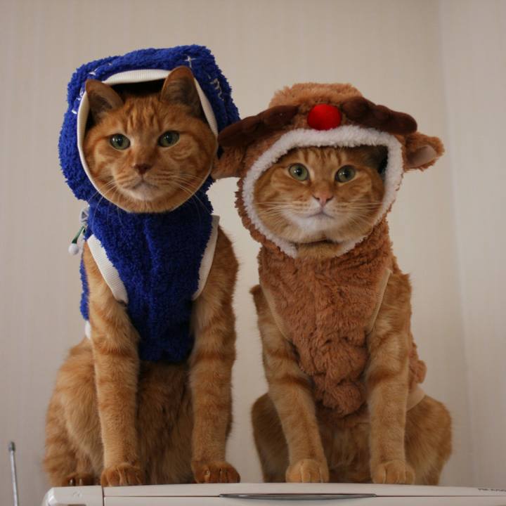 086aea05 6aa9 40f6 84ad 2921fa841ff2 1513651744673