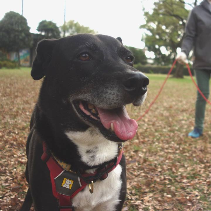 086b6989 1bf6 406f 9f0f db9b3022770e 1700008902014