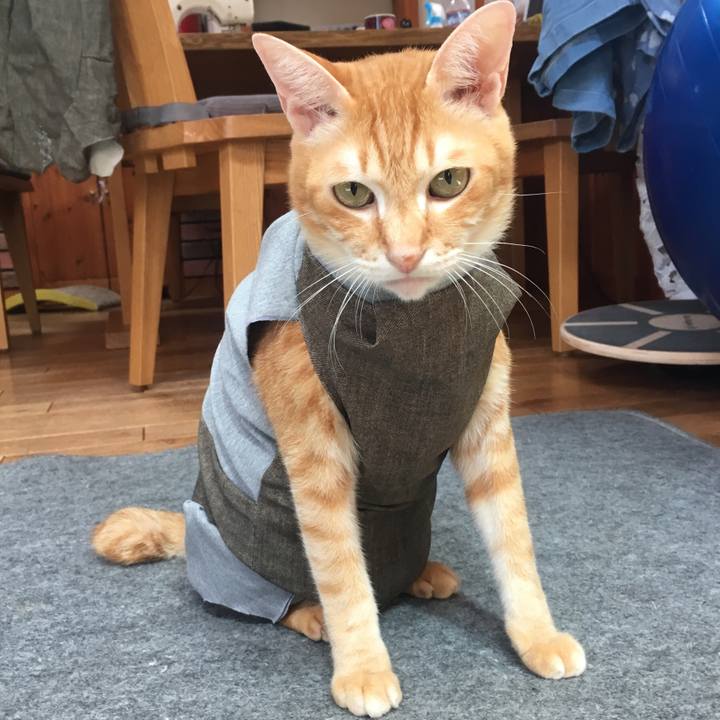 086b8d9b dca2 4953 b5f4 fc231d758fa8 1535860478178