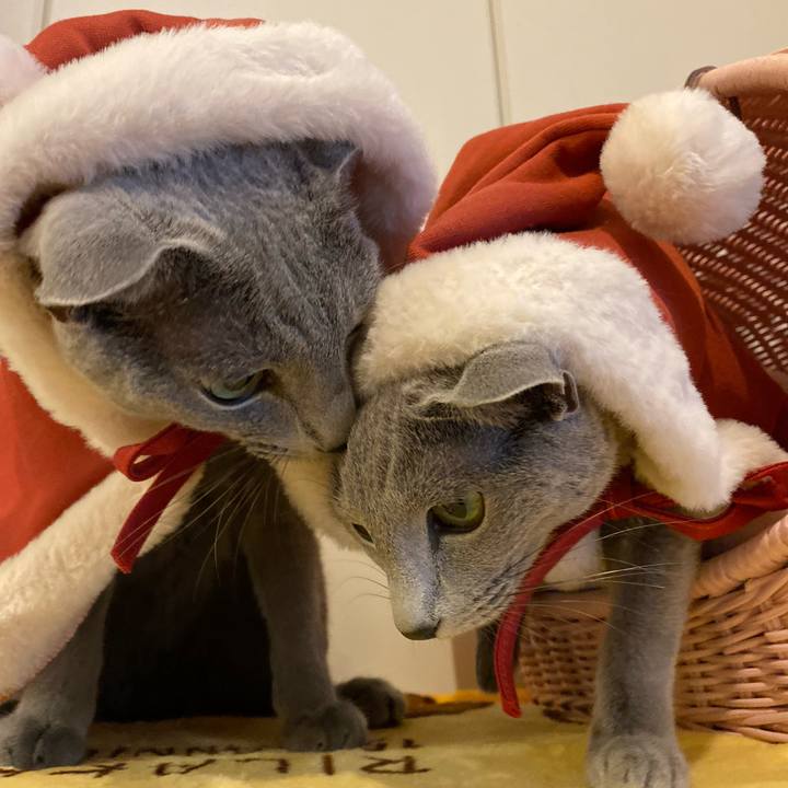 086b9954 a7c3 440d bdde 40446c5bd6a4 1669510808909