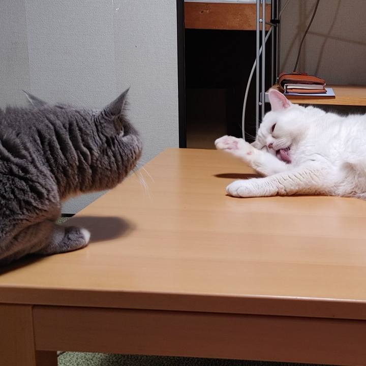 086bca8c 1bd1 40e8 9f8b f8eb9ac93bec 1660903802458