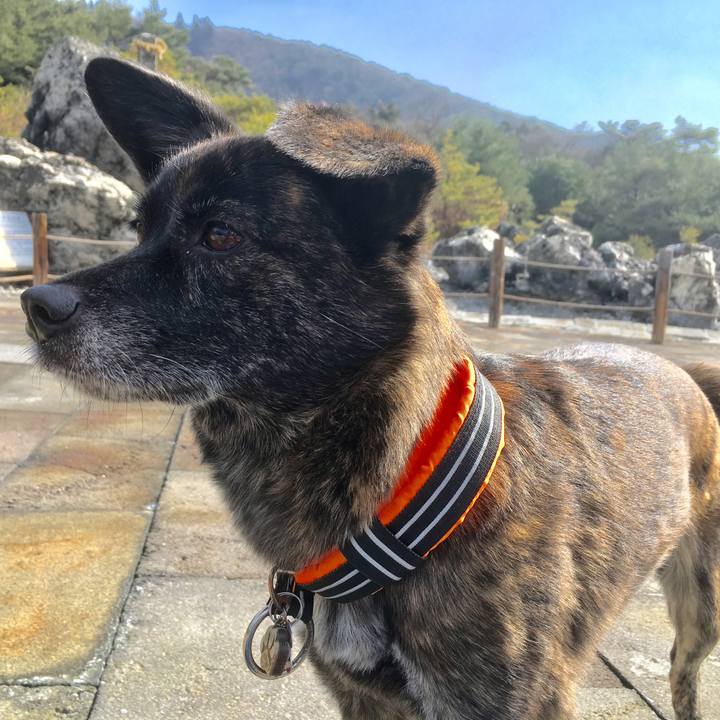 086bd559 d6df 4d7c be43 956ff9efc659 1517936276108