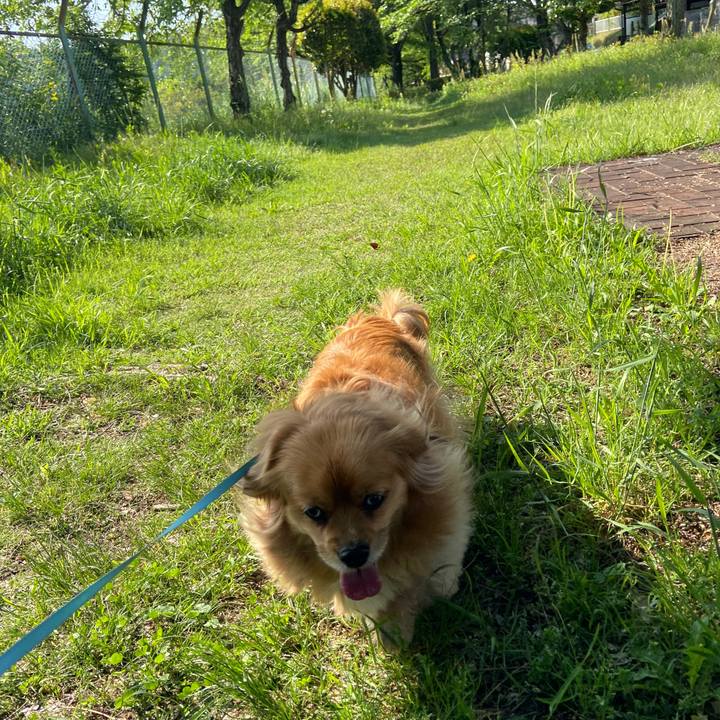 086bd73d dcb7 47ef 8c01 9b0b74bdb79a 1651625048408