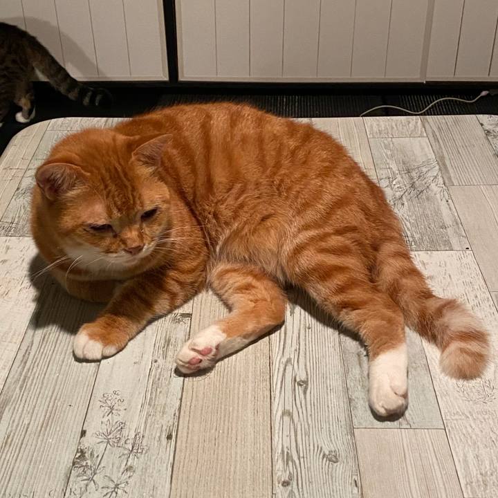 086c0e01 e62c 4526 85db 9f2ab317c074 1593219226130