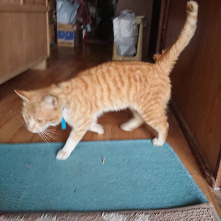 086c2e3b 8079 45cd 8bca 41a5ebd50037 1556616792403