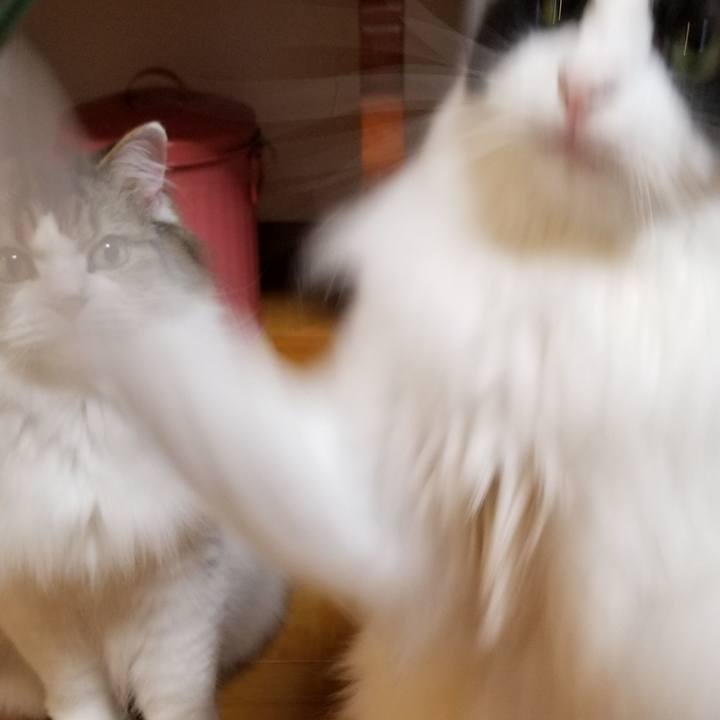 086c2e56 625a 4348 995e 1771fbc6ec40 1568895759525