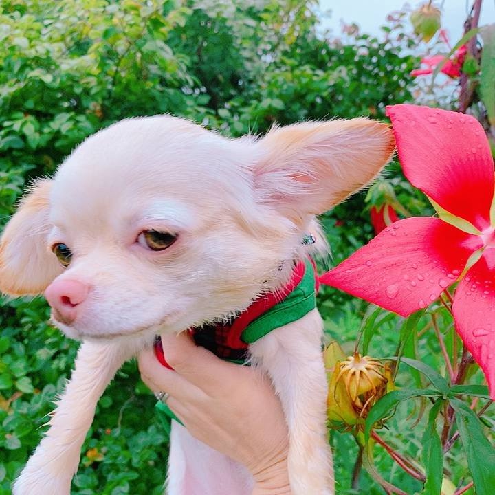 086c4266 32eb 47e2 837d cb7073ece581 1629113191603